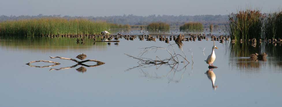 lake-joondalup.jpg